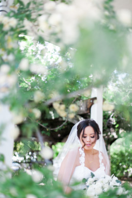 Lifestyle wedding photography napa valley wine country