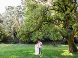 Pregnant Couple with Small Lap Dog Under a Large Tree in Golden Gate Park by San Francisco Family Photographer